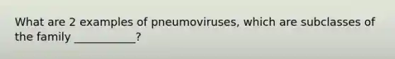 What are 2 examples of pneumoviruses, which are subclasses of the family ___________?