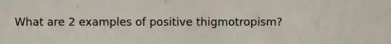 What are 2 examples of positive thigmotropism?