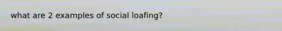 what are 2 examples of social loafing?