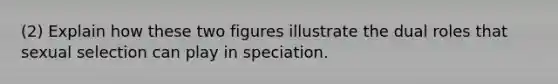 (2) Explain how these two figures illustrate the dual roles that sexual selection can play in speciation.