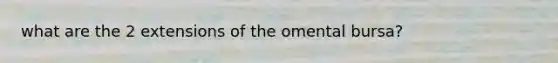 what are the 2 extensions of the omental bursa?