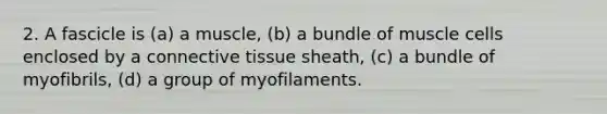 2. A fascicle is (a) a muscle, (b) a bundle of muscle cells enclosed by a connective tissue sheath, (c) a bundle of myofibrils, (d) a group of myofilaments.