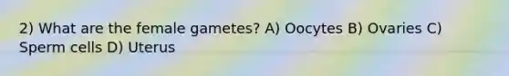 2) What are the female gametes? A) Oocytes B) Ovaries C) Sperm cells D) Uterus