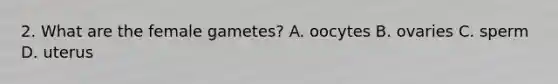 2. What are the female gametes? A. oocytes B. ovaries C. sperm D. uterus