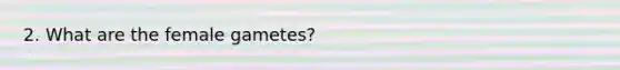 2. What are the female gametes?