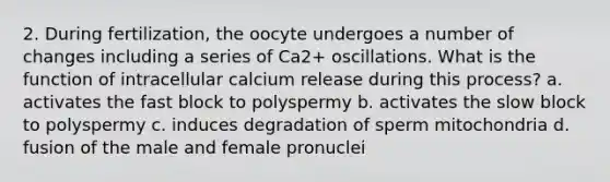 2. During fertilization, the oocyte undergoes a number of changes including a series of Ca2+ oscillations. What is the function of intracellular calcium release during this process? a. activates the fast block to polyspermy b. activates the slow block to polyspermy c. induces degradation of sperm mitochondria d. fusion of the male and female pronuclei