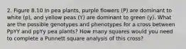 2. Figure 8.10 In pea plants, purple flowers (P) are dominant to white (p), and yellow peas (Y) are dominant to green (y). What are the possible genotypes and phenotypes for a cross between PpYY and ppYy pea plants? How many squares would you need to complete a Punnett square analysis of this cross?