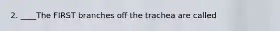 2. ____The FIRST branches off the trachea are called