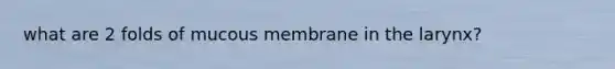 what are 2 folds of mucous membrane in the larynx?