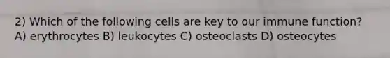 2) Which of the following cells are key to our immune function? A) erythrocytes B) leukocytes C) osteoclasts D) osteocytes