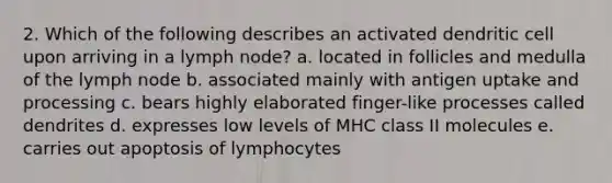 2. Which of the following describes an activated dendritic cell upon arriving in a lymph node? a. located in follicles and medulla of the lymph node b. associated mainly with antigen uptake and processing c. bears highly elaborated finger-like processes called dendrites d. expresses low levels of MHC class II molecules e. carries out apoptosis of lymphocytes