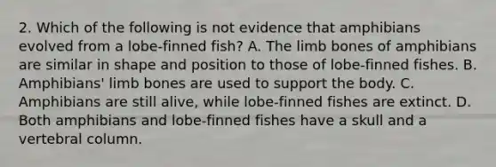 2. Which of the following is not evidence that amphibians evolved from a lobe-finned fish? A. The limb bones of amphibians are similar in shape and position to those of lobe-finned fishes. B. Amphibians' limb bones are used to support the body. C. Amphibians are still alive, while lobe-finned fishes are extinct. D. Both amphibians and lobe-finned fishes have a skull and a <a href='https://www.questionai.com/knowledge/ki4fsP39zf-vertebral-column' class='anchor-knowledge'>vertebral column</a>.