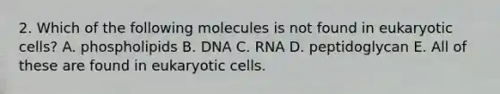 2. Which of the following molecules is not found in eukaryotic cells? A. phospholipids B. DNA C. RNA D. peptidoglycan E. All of these are found in eukaryotic cells.