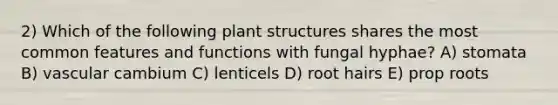 2) Which of the following plant structures shares the most common features and functions with fungal hyphae? A) stomata B) vascular cambium C) lenticels D) root hairs E) prop roots