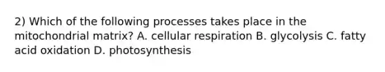 2) Which of the following processes takes place in the mitochondrial matrix? A. cellular respiration B. glycolysis C. fatty acid oxidation D. photosynthesis