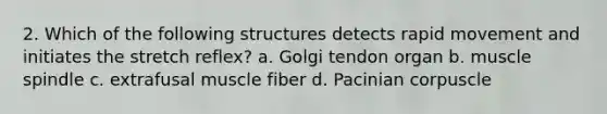 2. Which of the following structures detects rapid movement and initiates the stretch reflex? a. Golgi tendon organ b. muscle spindle c. extrafusal muscle fiber d. Pacinian corpuscle