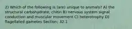 2) Which of the following is (are) unique to animals? A) the structural carbohydrate, chitin B) nervous system signal conduction and muscular movement C) heterotrophy D) flagellated gametes Section: 32.1