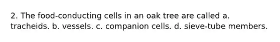 2. The food-conducting cells in an oak tree are called a. tracheids. b. vessels. c. companion cells. d. sieve-tube members.