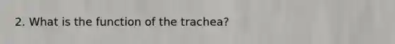 2. What is the function of the trachea?