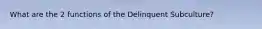 What are the 2 functions of the Delinquent Subculture?