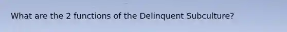 What are the 2 functions of the Delinquent Subculture?