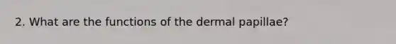 2. What are the functions of the dermal papillae?