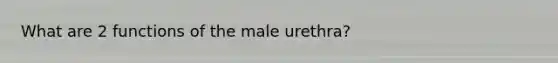 What are 2 functions of the male urethra?