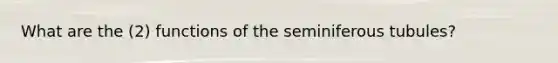 What are the (2) functions of the seminiferous tubules?