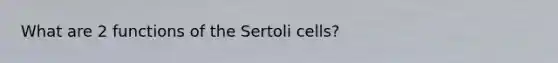 What are 2 functions of the Sertoli cells?