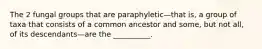 The 2 fungal groups that are paraphyletic—that is, a group of taxa that consists of a common ancestor and some, but not all, of its descendants—are the __________.