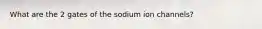 What are the 2 gates of the sodium ion channels?