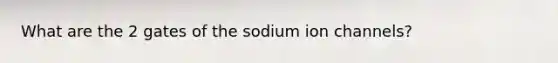 What are the 2 gates of the sodium ion channels?