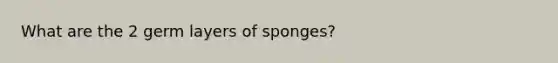 What are the 2 germ layers of sponges?