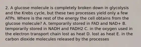 2. A glucose molecule is completely broken down in glycolysis and the Krebs cycle, but these two processes yield only a few ATPs. Where is the rest of the energy the cell obtains from the glucose molecule? A. temporarily stored in FAD and NAD+ B. temporarily stored in NADH and FADH2 C. in the oxygen used in the electron transport chain lost as heat D. lost as heat E. in the carbon dioxide molecules released by the processes