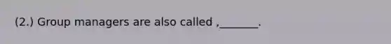 (2.) Group managers are also called ,_______.