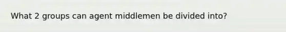 What 2 groups can agent middlemen be divided into?