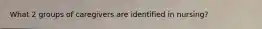 What 2 groups of caregivers are identified in nursing?