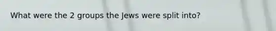 What were the 2 groups the Jews were split into?