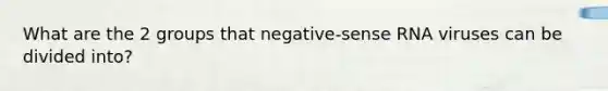 What are the 2 groups that negative-sense RNA viruses can be divided into?