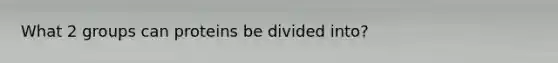 What 2 groups can proteins be divided into?