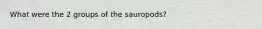 What were the 2 groups of the sauropods?