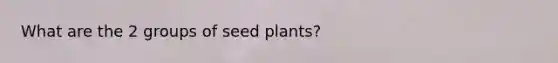 What are the 2 groups of seed plants?