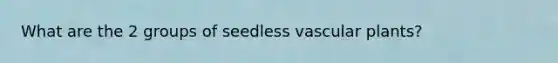 What are the 2 groups of seedless vascular plants?