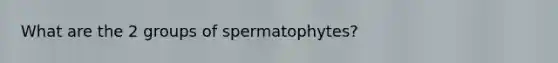 What are the 2 groups of spermatophytes?