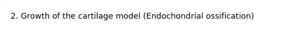 2. Growth of the cartilage model (Endochondrial ossification)