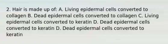 2. Hair is made up of: A. Living epidermal cells converted to collagen B. Dead epidermal cells converted to collagen C. Living epidermal cells converted to keratin D. Dead epidermal cells converted to keratin D. Dead epidermal cells converted to keratin