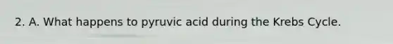 2. A. What happens to pyruvic acid during the Krebs Cycle.