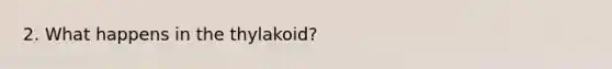 2. What happens in the thylakoid?