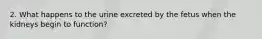 2. What happens to the urine excreted by the fetus when the kidneys begin to function?