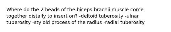 Where do the 2 heads of the biceps brachii muscle come together distally to insert on? -deltoid tuberosity -ulnar tuberosity -styloid process of the radius -radial tuberosity